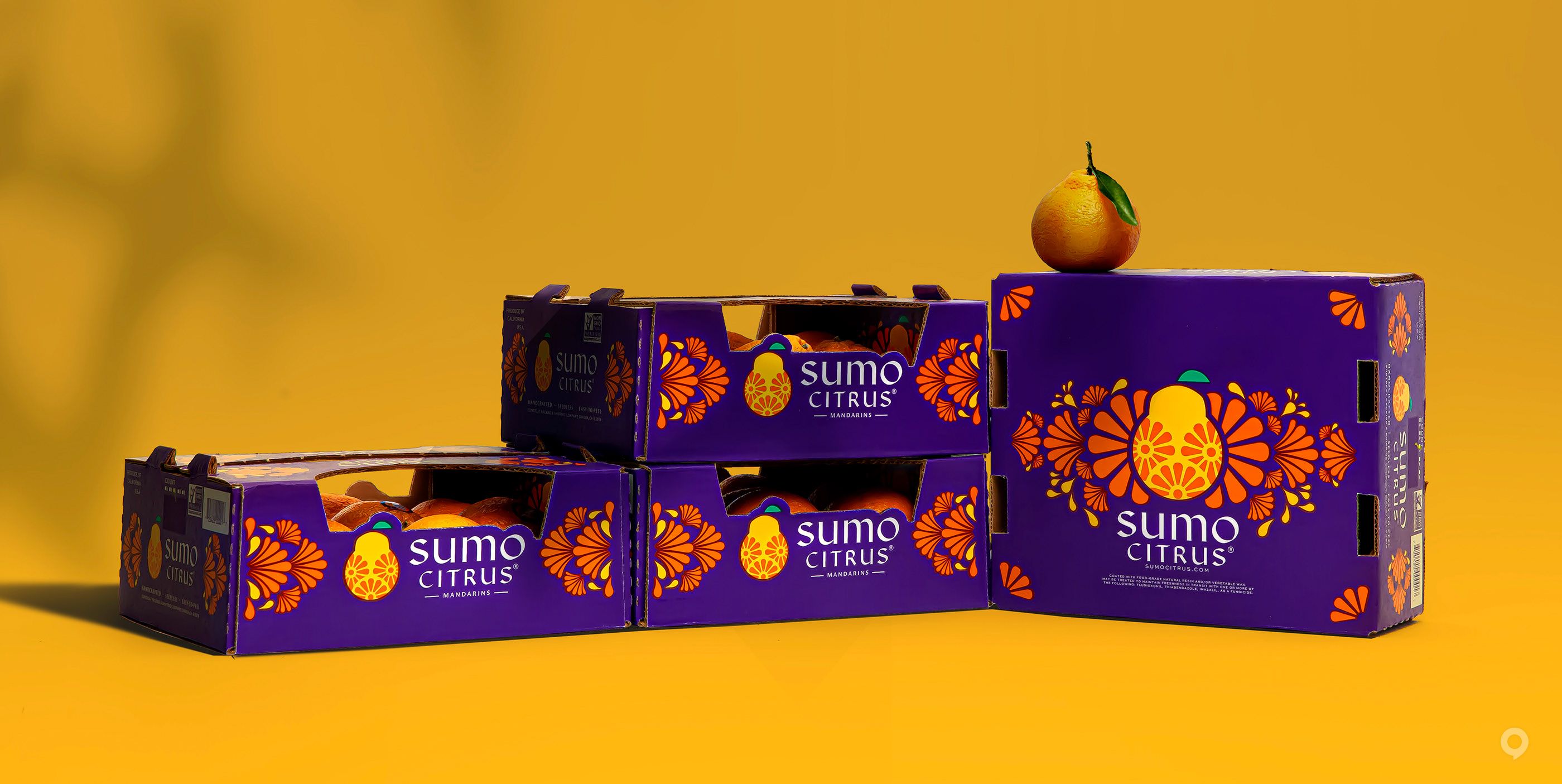 美国Sumo Citrus甜橙包装设计欣赏(图11)